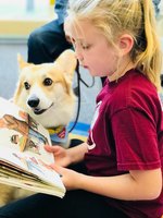 Sit, Stay, Read!