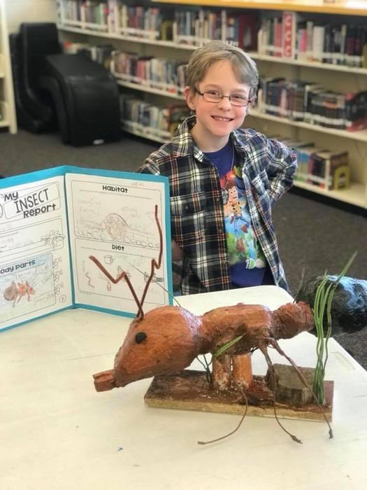 Children presenting insect projects